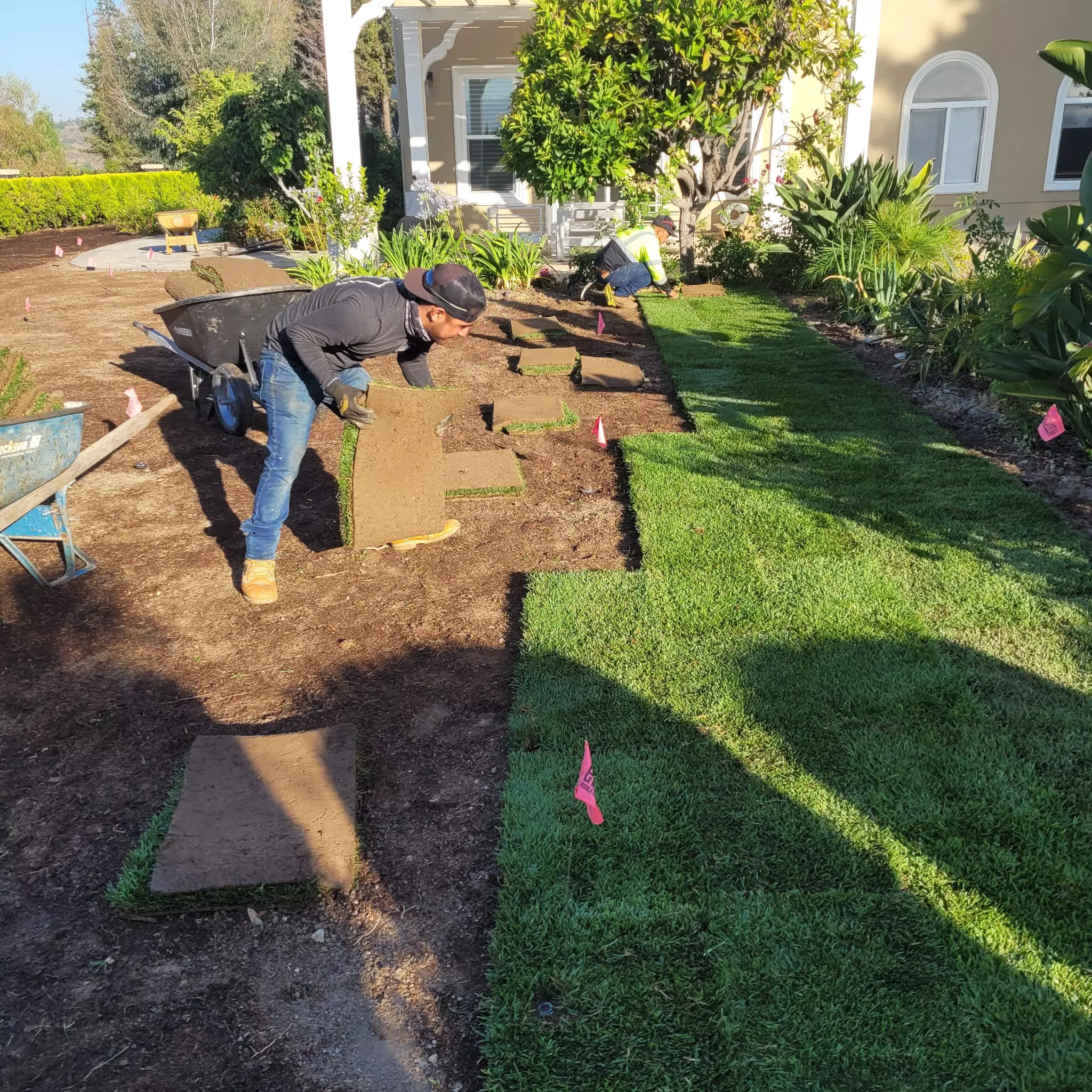 Grass Installation Service 2